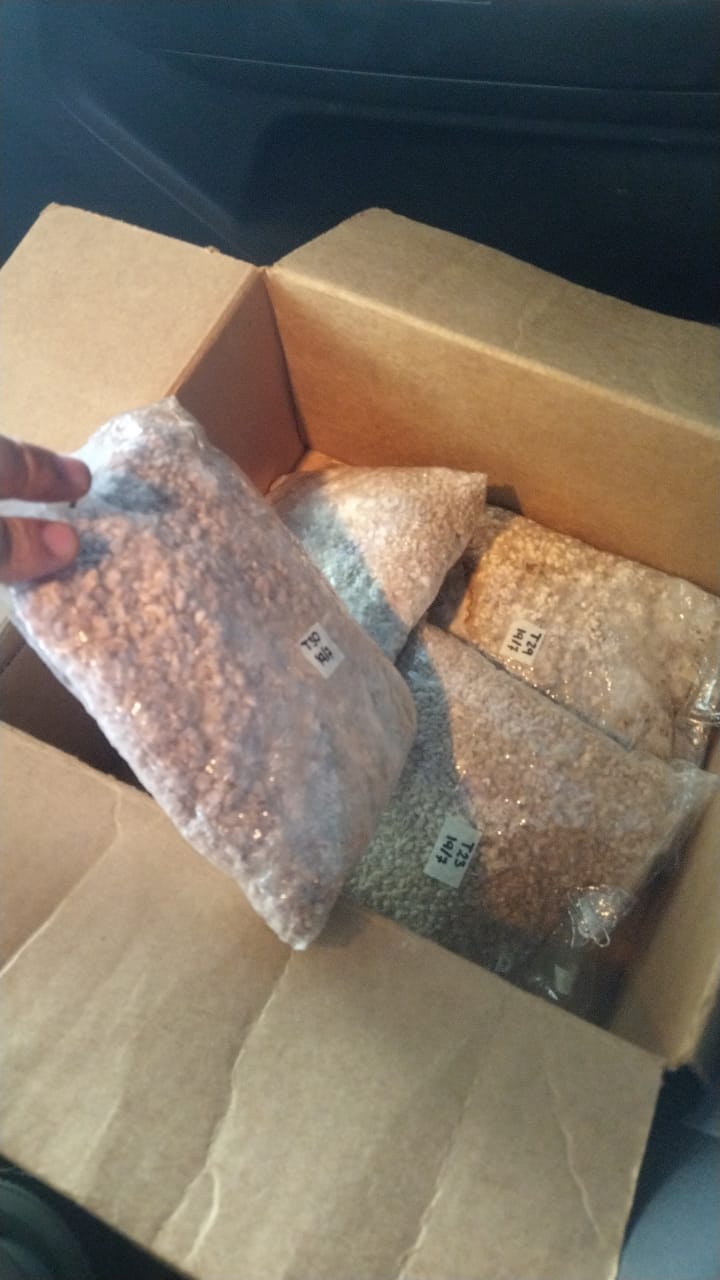 Producción de cepas e inóculo