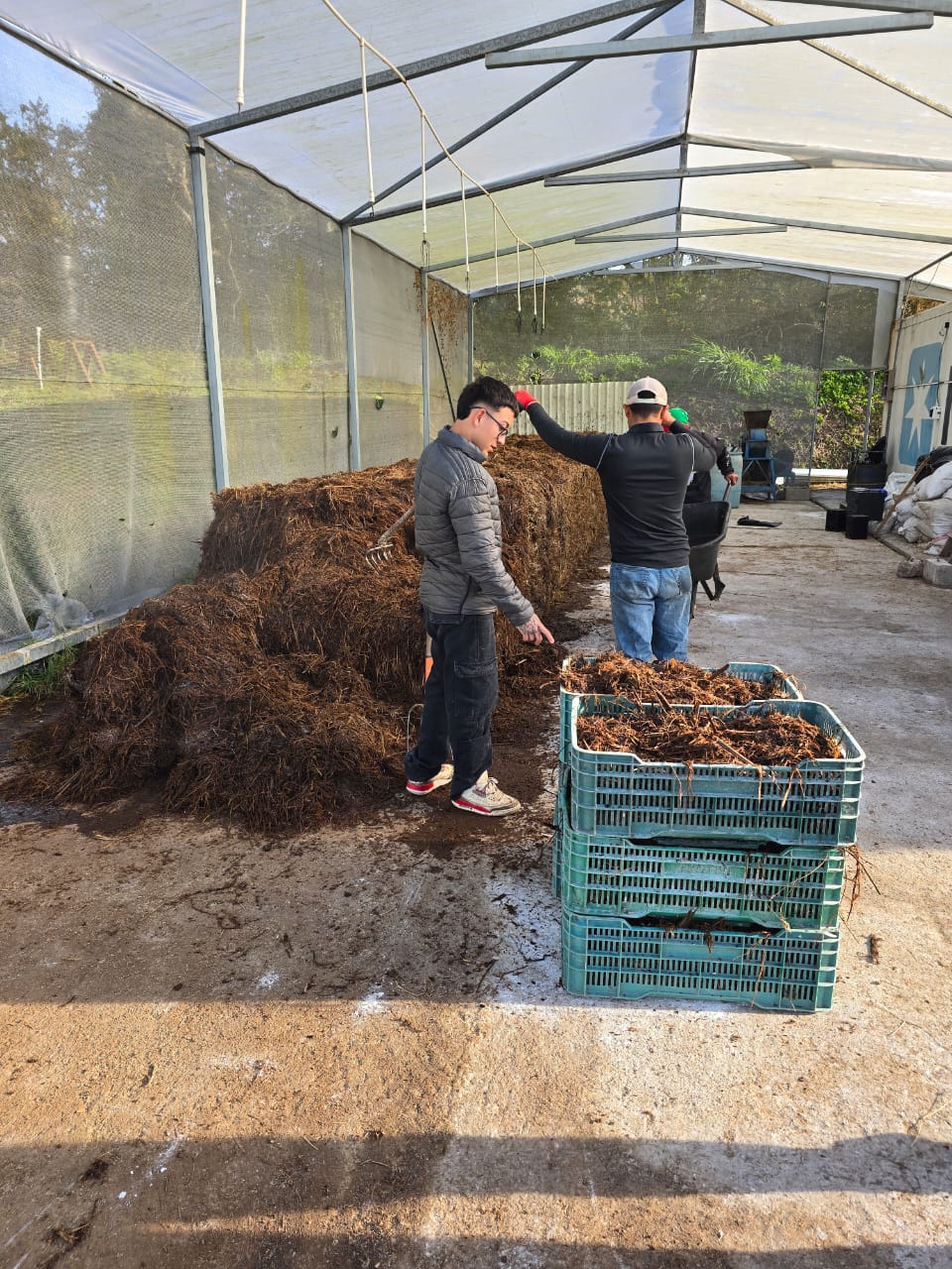 Compost inoculado en investigación